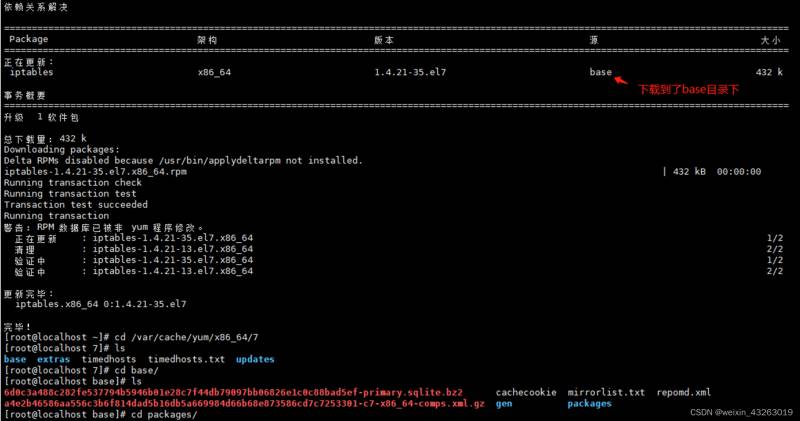 linux下载软件方法 1yJWdgRfCG7c0gMq.png
