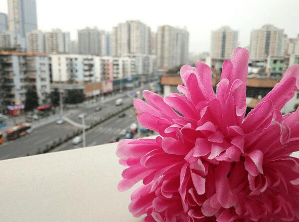 OPPO A53的详细评测