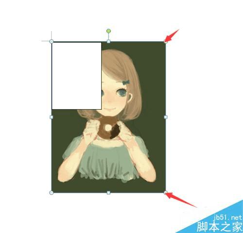 在Word中插入照片和制作框来设计简历的方法步骤