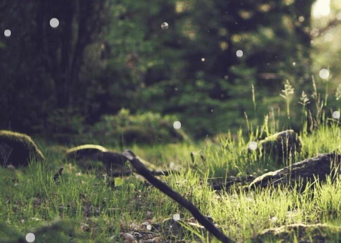 怎么样在javascript中实现很浪漫的气泡冒出特效?