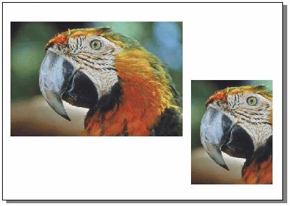 如何在CorelDRAW中导入Resample?