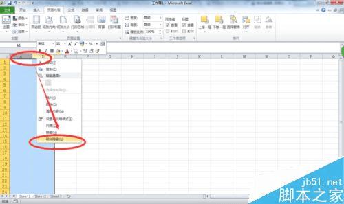 在EXCEL表格中设置隐藏行、列的办法
