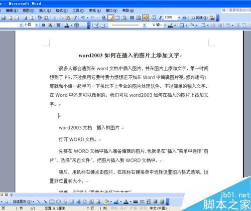 ôWord2003ΪѡͼӻȡӰ