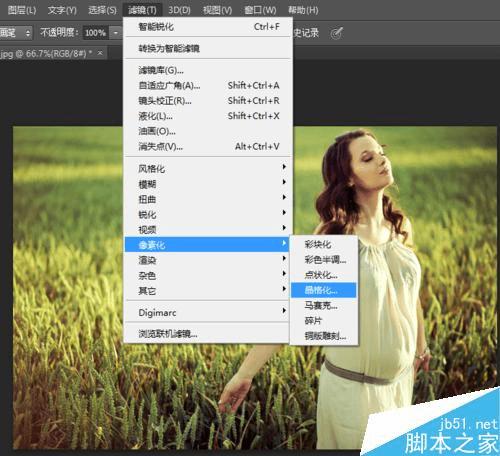 怎么样在ps中晶格化修改人物图的背景?