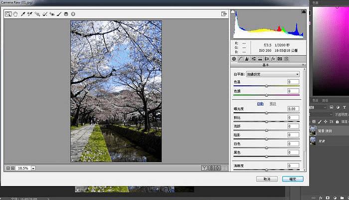 怎么样在ps中将樱花风图片转为梦幻效果?
