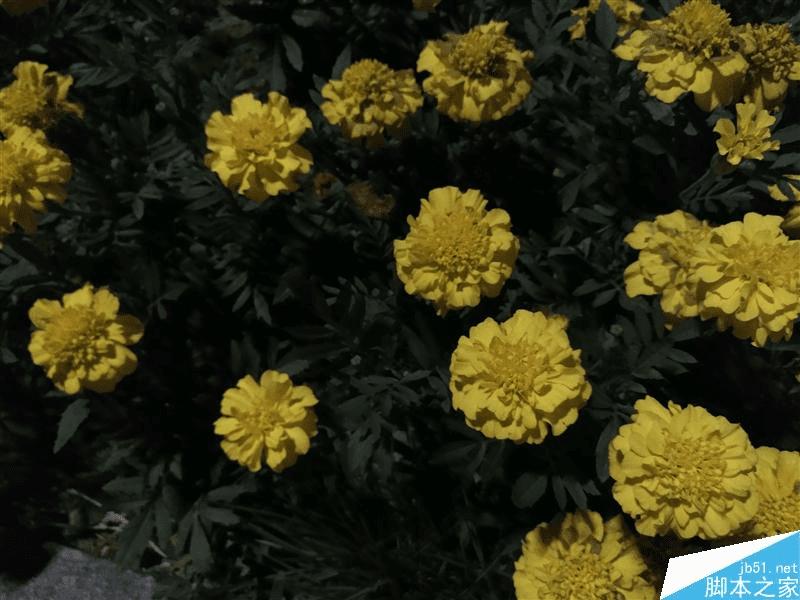 努比亚nubia Z11 mini外观及功能详细介绍