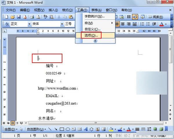 WordøĵԤʱԿִӡĲ