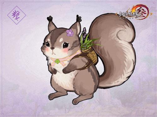 坚果是谁的宠物 59557_df02c6eee31f3ba9eb30b2d2daf9dbc3.jpg