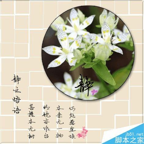 如何使用ps制作古典写意圆形照片?