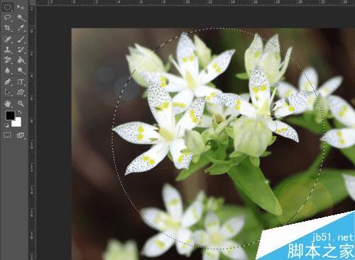 如何使用ps制作古典写意圆形照片?