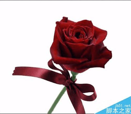 如何使用PS合成手握鲜花的美女效果图?