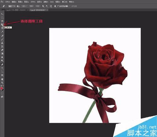 如何使用PS合成手握鲜花的美女效果图?
