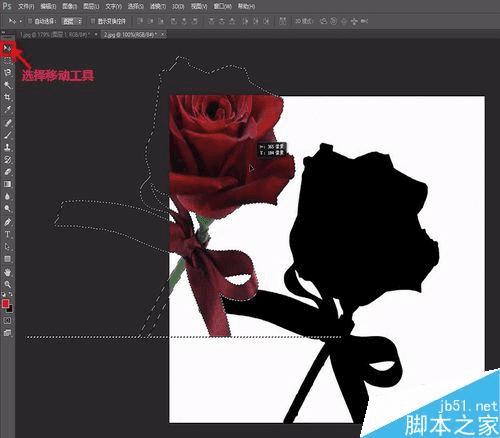 如何使用PS合成手握鲜花的美女效果图?