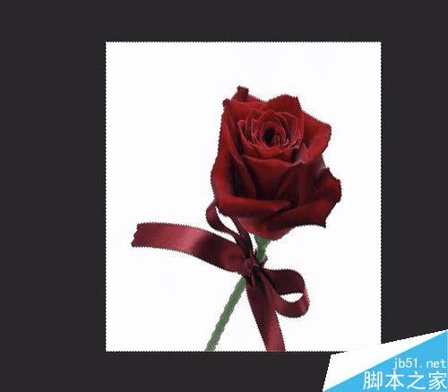 如何使用PS合成手握鲜花的美女效果图?