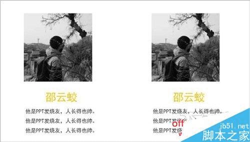 怎么样在PPT中进行图文排版?