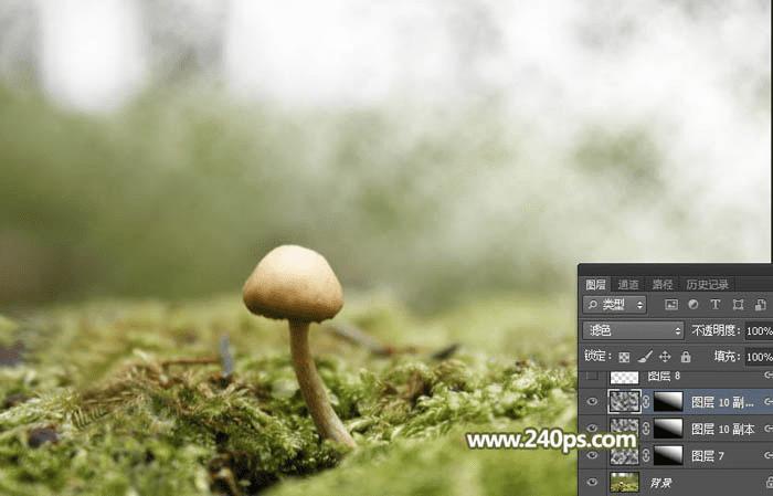 怎么样在PS中合成长着翅膀坐在蘑菇上的可爱天使?