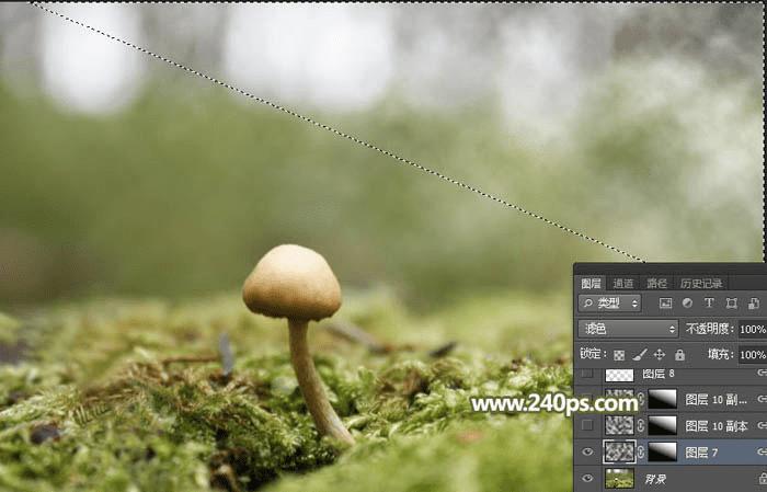 怎么样在PS中合成长着翅膀坐在蘑菇上的可爱天使?