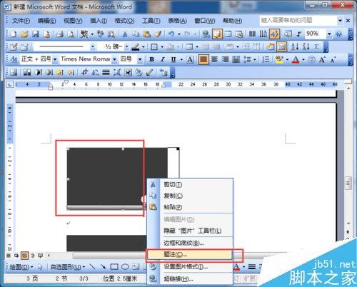 word2003жͼƬԶŵİ취