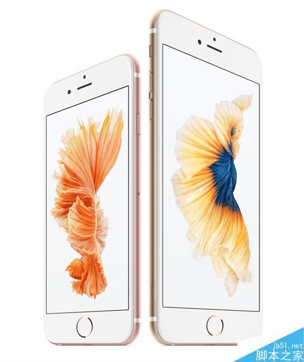 iPhone5SE/7Plus /Pro�����ܽ���