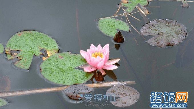 nEO_IMG_Screenshot_2013-05-05-13-51-45