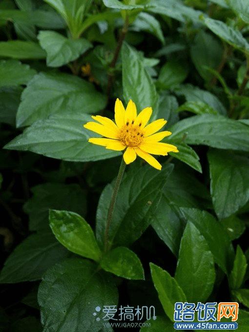 nEO_IMG_20130505_152222