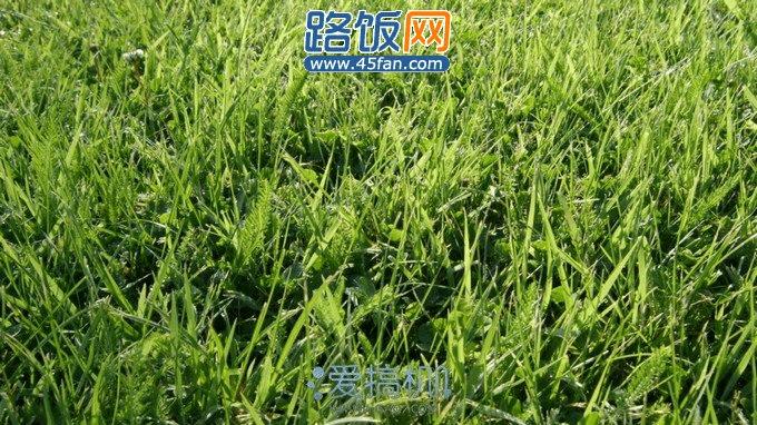 nEO_IMG_Screenshot_2013-05-05-13-51-52