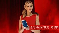 غͳĻ ΪMate2 4Gֻͼ