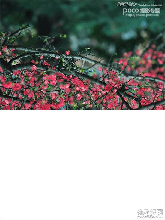 ѡ񡾱༭---任---ֱתͼ1ͼתԤ