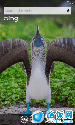 WP手机音乐雷达扫描功能开启教程