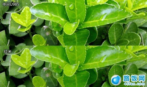 中兴U985与红米手机微距离拍照对比图