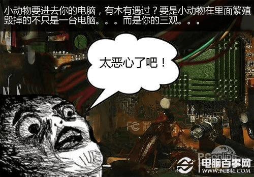 台式电脑怎么清理灰尘 小白清理电脑灰尘全攻略