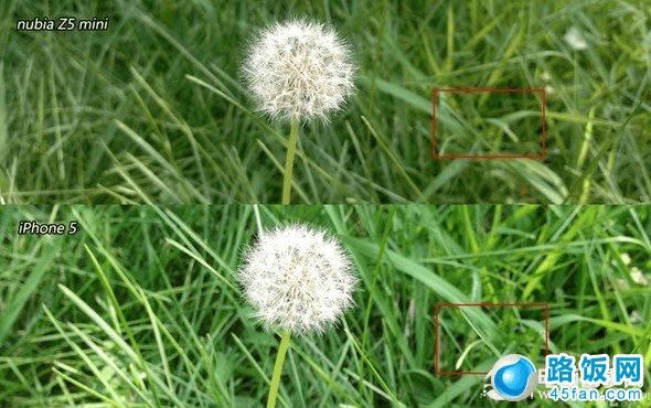 Ŭ����Z5 Mini��iPhone5����΢�����ŶԱ� 