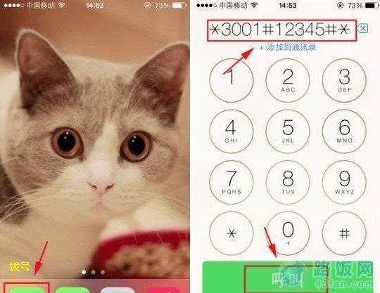 ʹiPhone5s*3001#12345#*
