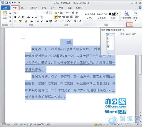 单击样式对话框启动器