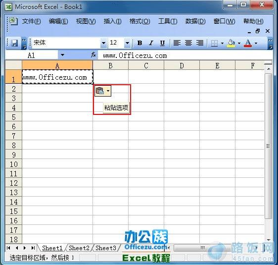 粘贴选项卡效果