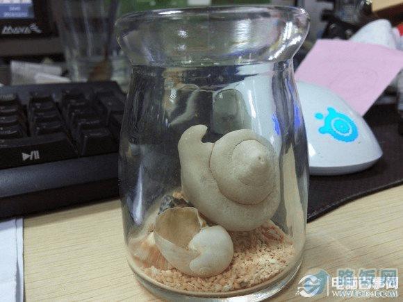 酷派大观4 mini拍照样张图赏