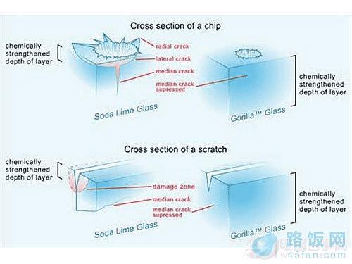 ����ʲô���� �����ɲ���Ϊ����˿��� 