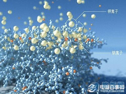 ����ʲô���� �����ɲ���Ϊ����˿��� 