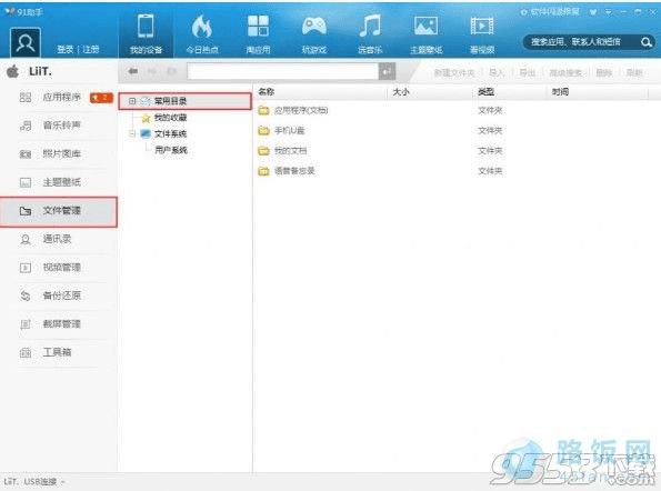 ʹ91ֻV5浼iPhone¼ ·