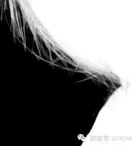 用PS快速抠除头发的教程