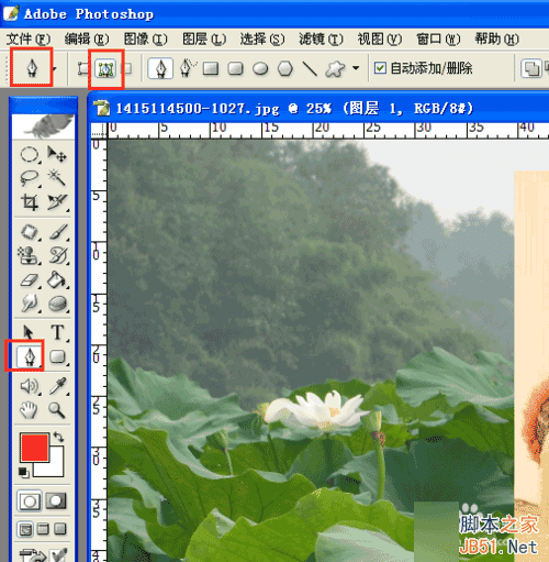 怎么用PS进行图片合成?