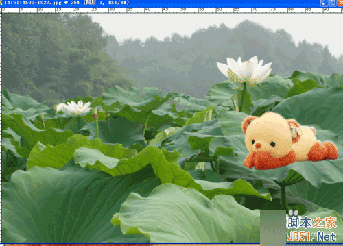 怎么用PS进行图片合成?