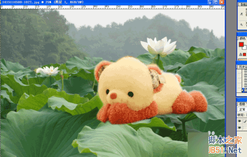 怎么用PS进行图片合成?