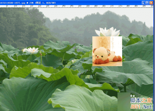 怎么用PS进行图片合成?