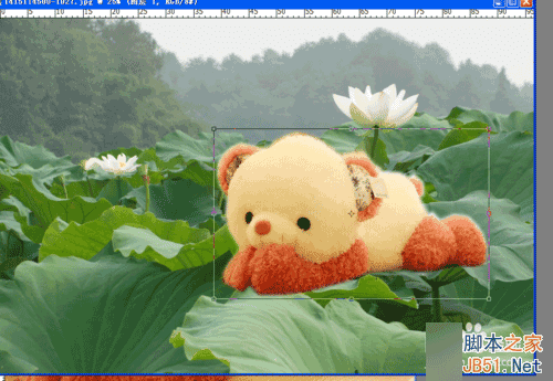 怎么用PS进行图片合成?