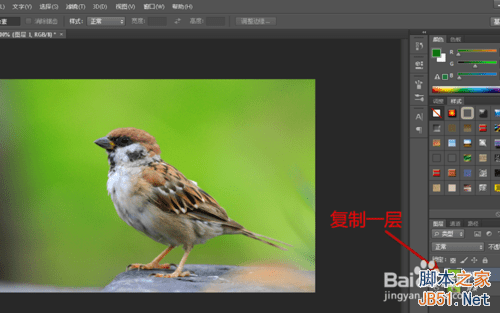 ps合成哈士奇头麻雀身的操作教程