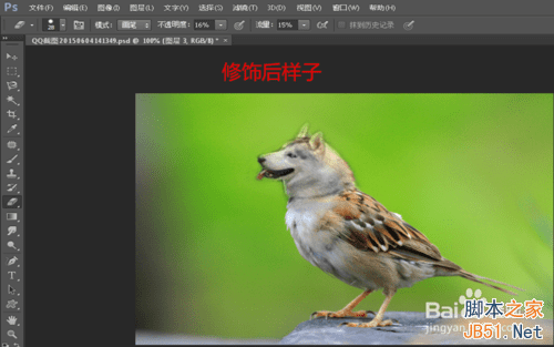 ps合成哈士奇头麻雀身的操作教程