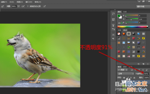 ps合成哈士奇头麻雀身的操作教程