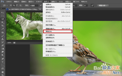 ps合成哈士奇头麻雀身的操作教程