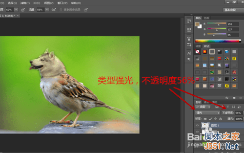 ps合成哈士奇头麻雀身的操作教程
